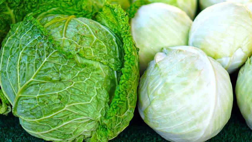 В Украине рекордно подорожал популярный овощ: названы новые цены В Украине рекордно подорожал популярный овощ: названы новые цены