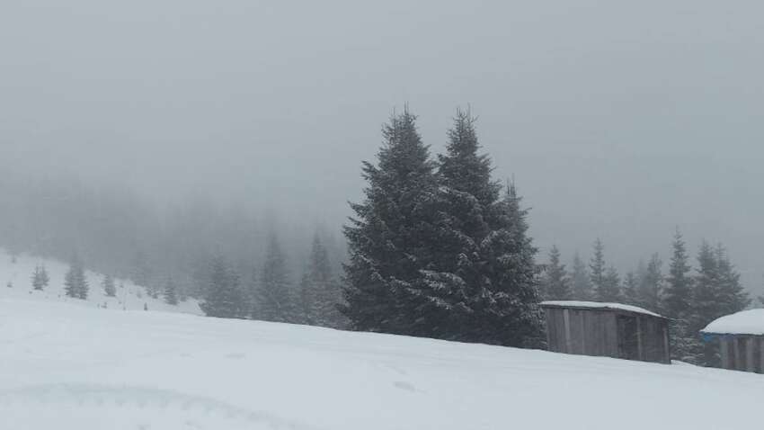 "Ухилянт" відморозив собі ноги, намагаючись перетнути кордон у горах: фото ДПСУ вражають "Ухилянт" відморозив собі ноги, намагаючись перетнути кордон у горах: фото ДПСУ вражають