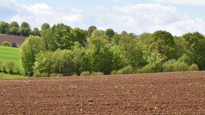 Земельное законодательство в период военного положения: могут ли граждане получить участок в аренду