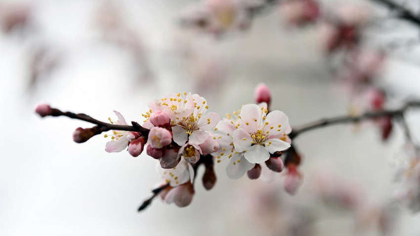 Погода на 29 апреля в Украине: в каких областях пройдут дожди Погода на 29 апреля в Украине: в каких областях пройдут дожди