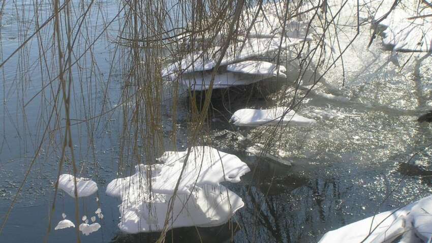 Церковный праздник 23 марта: к каким запретам в этот день нужно отнестись особенно внимательно