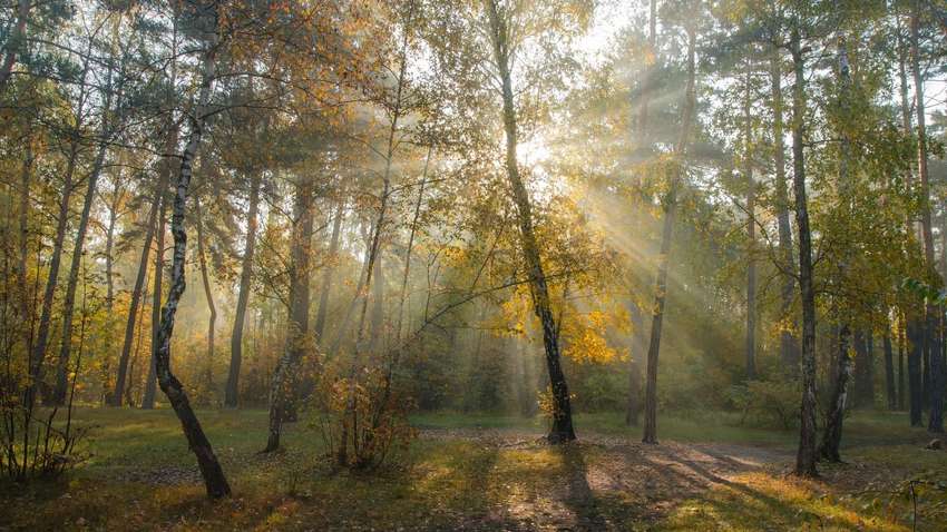 Теплый октябрь: когда ждать похолодания в Украине