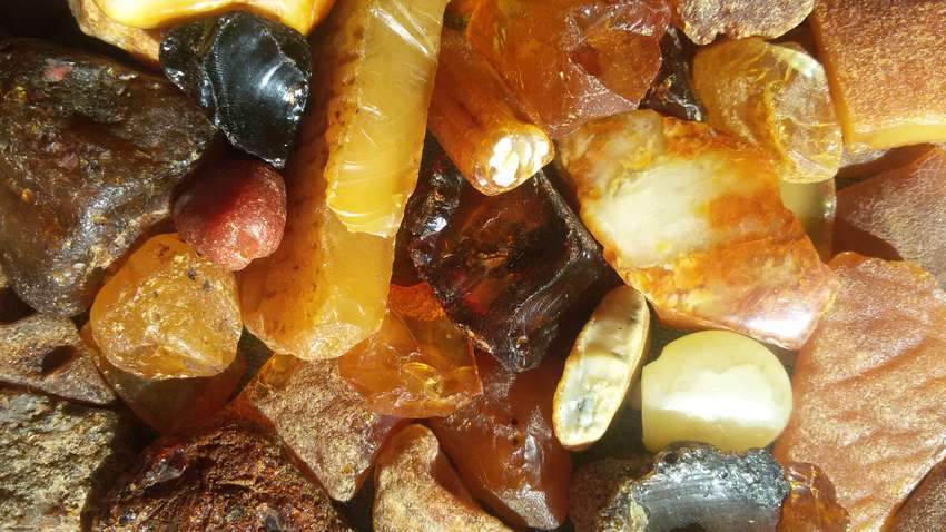 Верховная Рада приняла закон о добыче янтаря в Украине