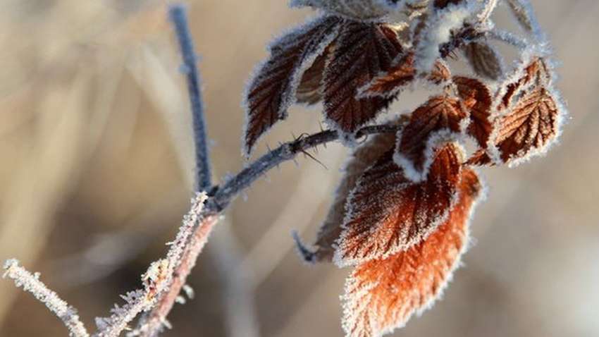 Придут морозы до -7 градусов: как долго они продлятся