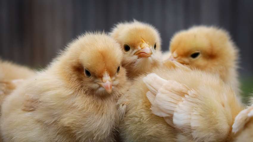 «Гости уезжают, вещи остаются": самые странные забытые предметы в отелях