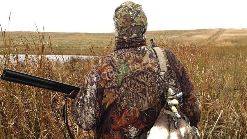 Зверь не избежит своей участи: три главных правила выслеживания дичи Зверь не избежит своей участи: три главных правила выслеживания дичи