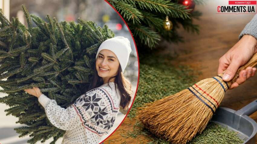 Как быстро убрать хвою от новогодней елки: простой способ Как быстро убрать хвою от новогодней елки: простой способ