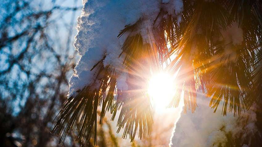 Погода в Украине: в каких регионах сегодня ждать "весну"