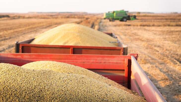 Готовится новое трехстороннее зерновое соглашение: кто в него войдет Готовится новое трехстороннее зерновое соглашение: кто в него войдет