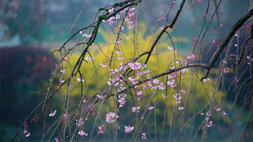 Погода на 28 апреля: какие области Украины укроют весенние грозы