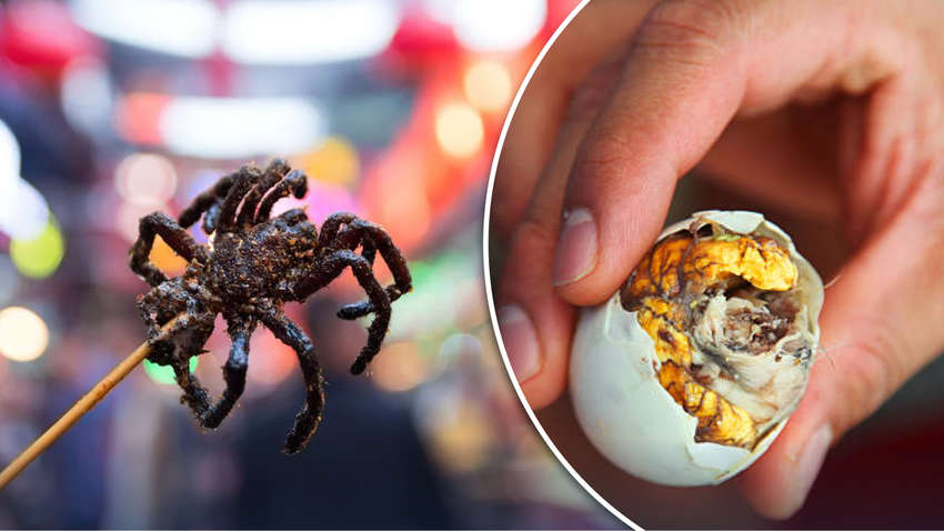 Вареные эмбрионы или жареные пауки: самые страшные блюда мира Вареные эмбрионы или жареные пауки: самые страшные блюда мира