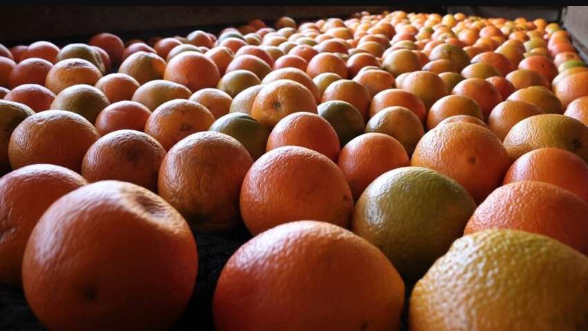 Укрепят иммунитет и не дадут замерзнуть: названы лучшие продукты на зиму Укрепят иммунитет и не дадут замерзнуть: названы лучшие продукты на зиму