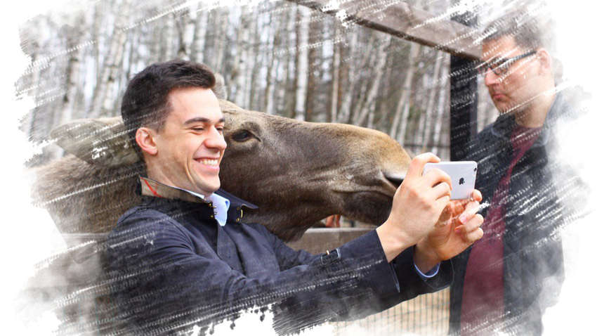 У Києві заборонили фотографуватися з тваринами за гроші У Києві заборонили фотографуватися з тваринами за гроші