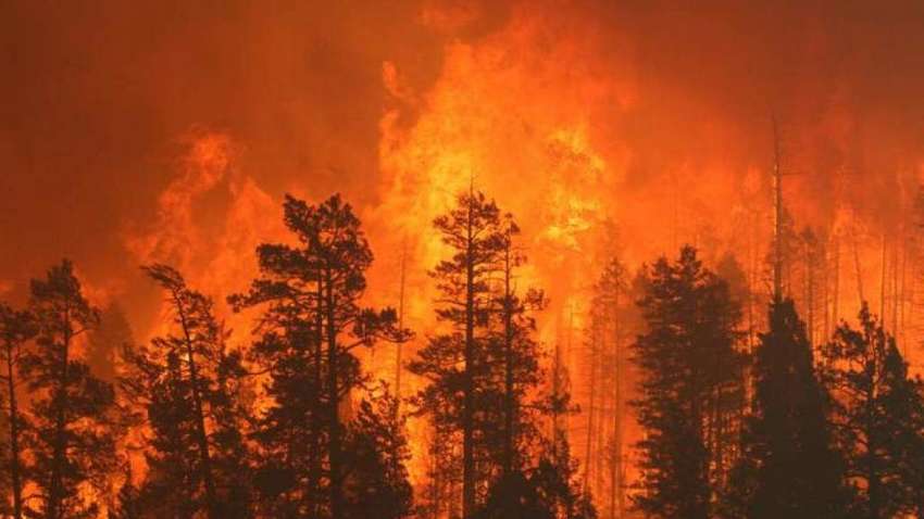 В Індонезії здоров'я 10 млн дітей під загрозою, – ООН