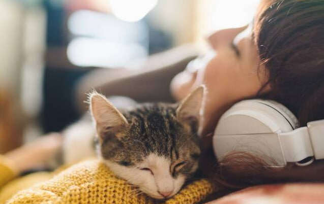 Самая успокаивающая песня в мире: она уменьшает тревогу человека Самая успокаивающая песня в мире: она уменьшает тревогу человека