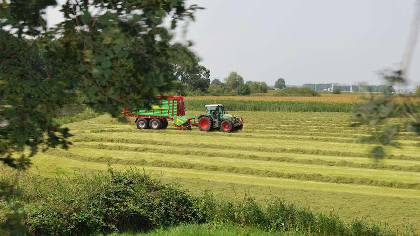 У НАЗК придумали, як боротися з корупцією в земельній сфері: думка експерта