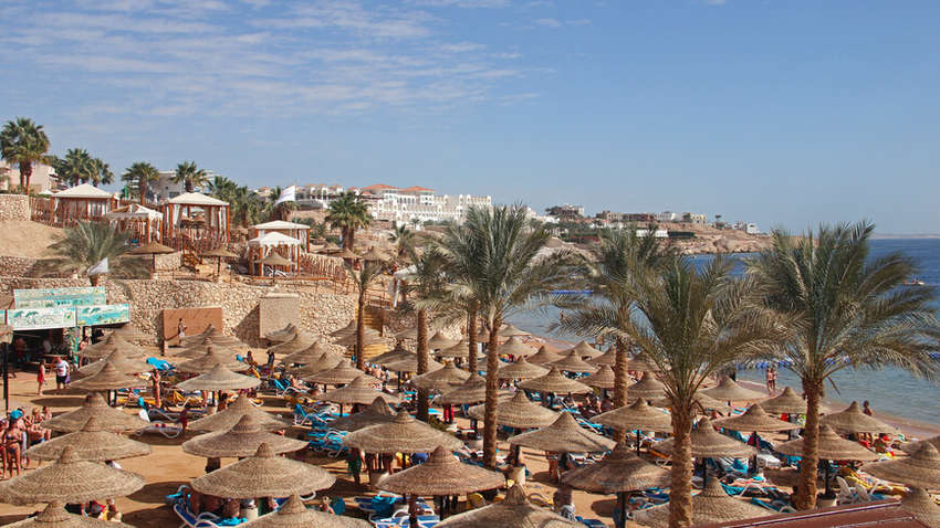 Египет освободил туристов от уплаты визового сбора - посольство Украины в Египте