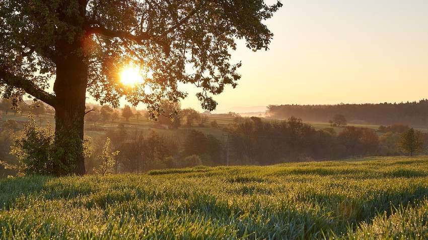Прогноз погоды на апрель 2024: что обещают синоптики Прогноз погоды на апрель 2024: что обещают синоптики