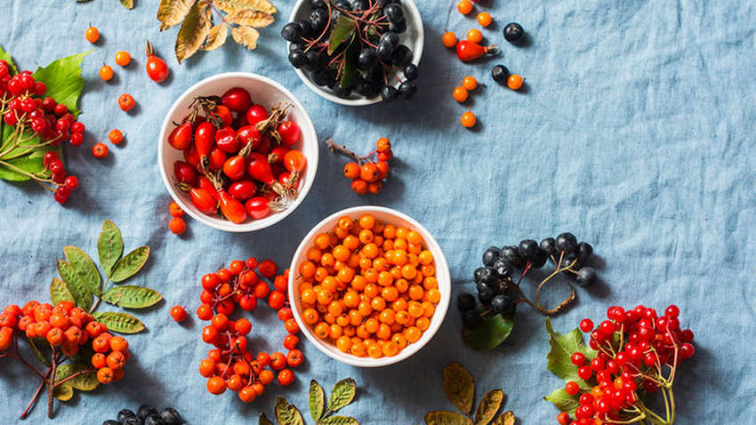 Названа одна из самых полезных ягод для печени