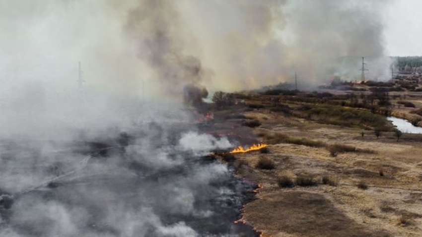 Пожежа в Чорнобильській зоні дісталася до Прип'яті