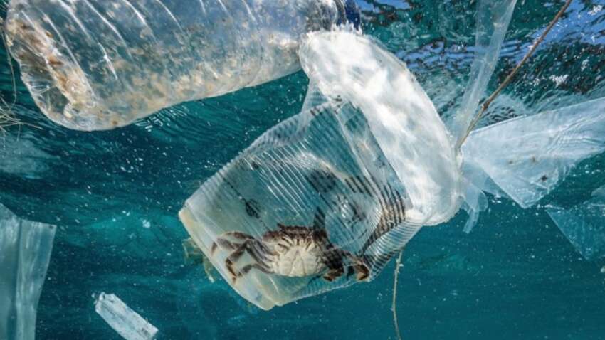Не Китай и не США: исследование назвало неожиданных лидеров пластикового загрязнения океанов