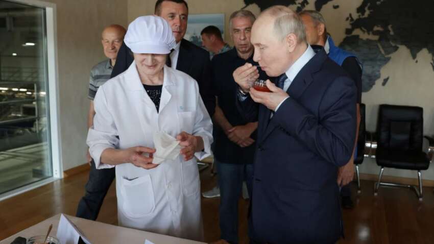 Токио готовит санкционный ответ: визит Путина на Курильские острова спровоцировал дипломатический скандал с Японией Токио готовит санкционный ответ: визит Путина на Курильские острова спровоцировал дипломатический скандал с Японией