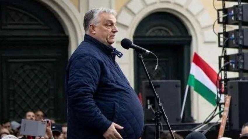 Орбан пожаловался США на Зеленского: «Это абсолютный скандал» Орбан пожаловался США на Зеленского: «Это абсолютный скандал»