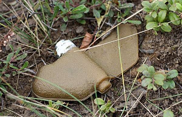 РФ готувалася до війни: які боєприпаси на відміну від України відмовилась знищити