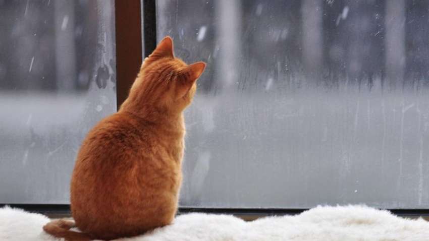 Облачность, осадки в центральной и восточной части страны: прогноз погоды в Украине на вторник, 24 ноября Облачность, осадки в центральной и восточной части страны: прогноз погоды в Украине на вторник, 24 ноября