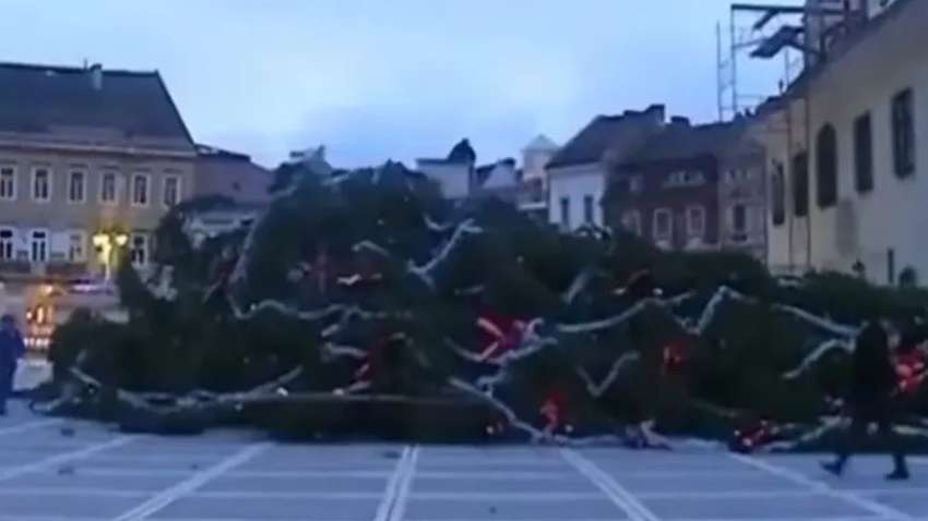 Найвища новорічна ялинка, прикрашена іграшками, впала від вітру (ВІДЕО) Найвища новорічна ялинка, прикрашена іграшками, впала від вітру (ВІДЕО)