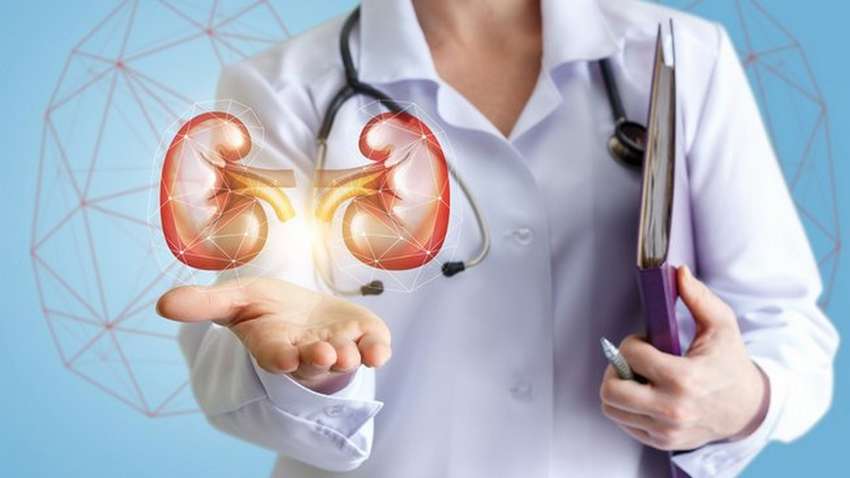 Врачи рассказали, от чего зимой зависит здоровье почек
