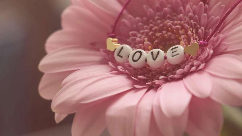 Любовный гороскоп на 13 ноября: что обещают астрологи