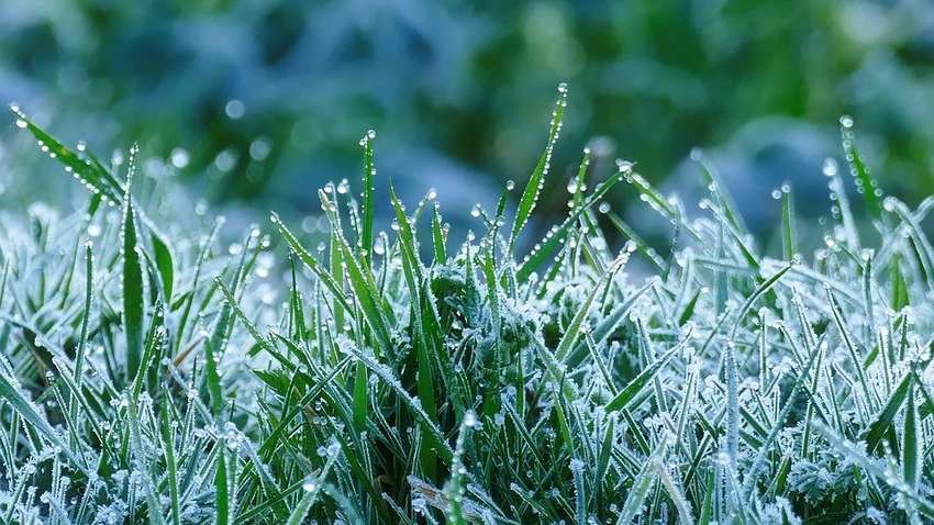 В Украине ожидаются заморозки: где похолодает 