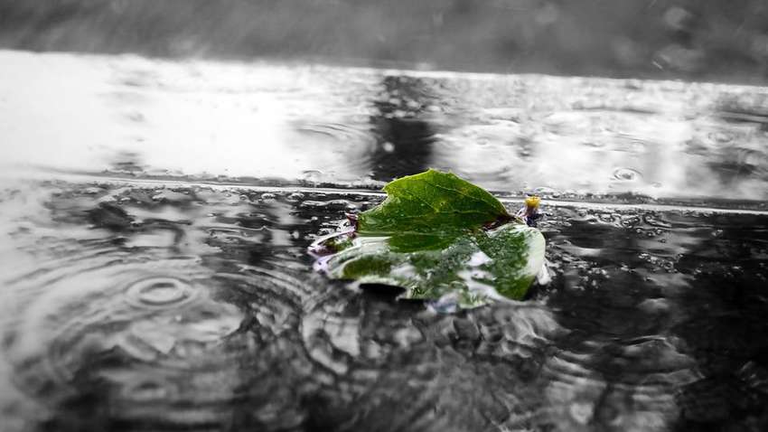 Грозы и град: в каких областях Украины посреди недели ожидаются осадки