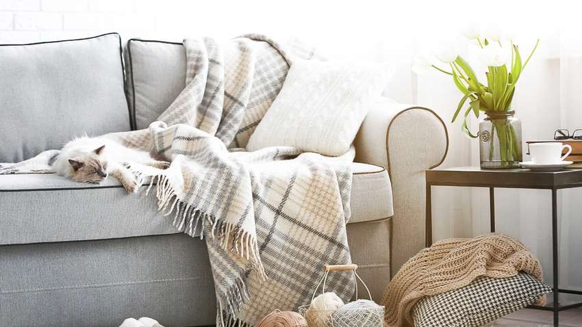 Які бувають дивани: їх переваги та недоліки