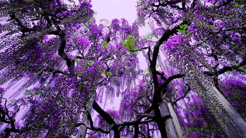 П'ять місць планети, в існування яких складно повірити