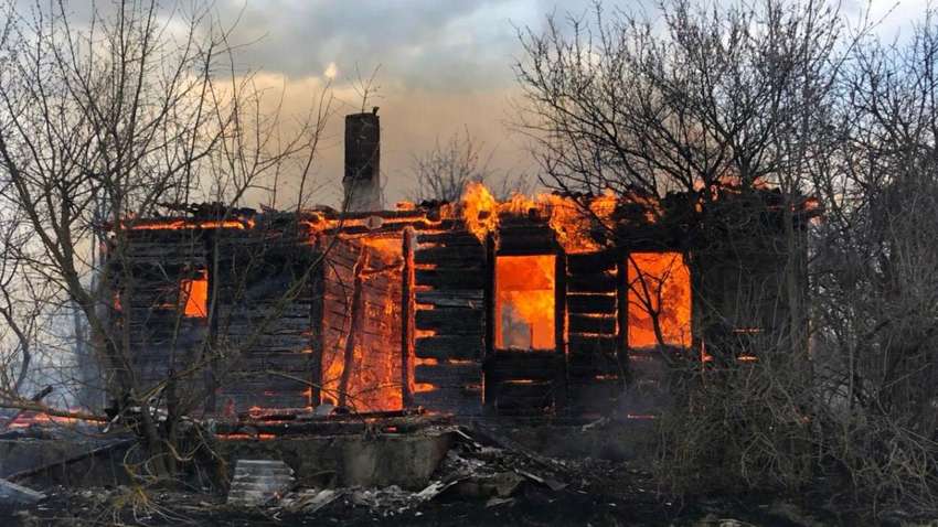 Пожежі на Житомирщині: у ДСНС пояснили, чому не вдається загасити