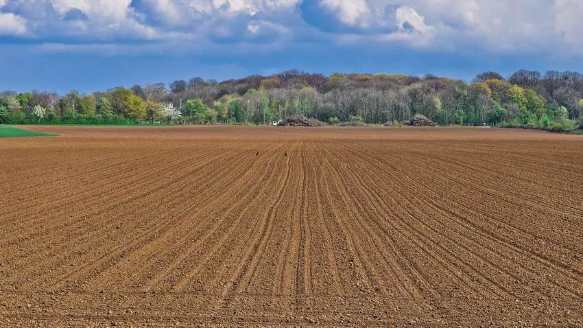 Як зміниться вартість земельних ділянок після запровадження ринку землі в Україні Як зміниться вартість земельних ділянок після запровадження ринку землі в Україні