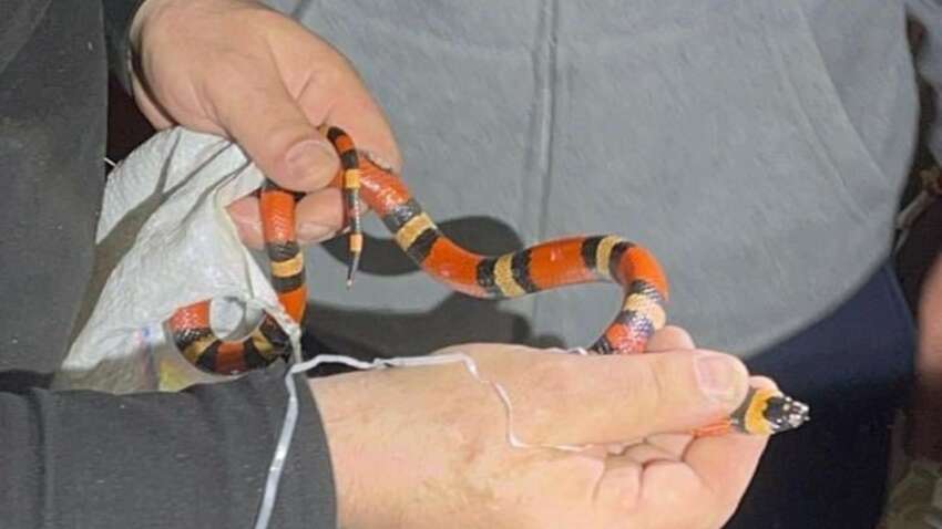 Ні за що не здогадаєтеся: що знайшли в пральній машинці 