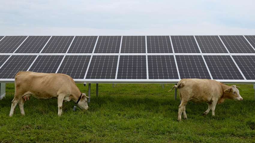 Солнечные панели положительно влияют на сельское хозяйство