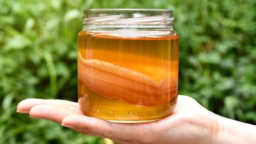 Этот напиток защитит организм от рака Этот напиток защитит организм от рака