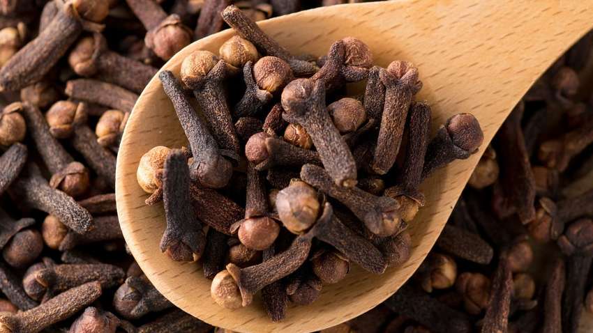Гвоздика: польза и вред пряности  Гвоздика: польза и вред пряности