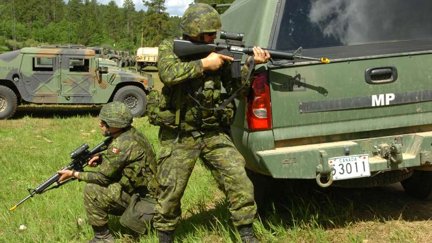 Накормила солдатів кексами с каннабисом: канадской военной грозит тюрьма