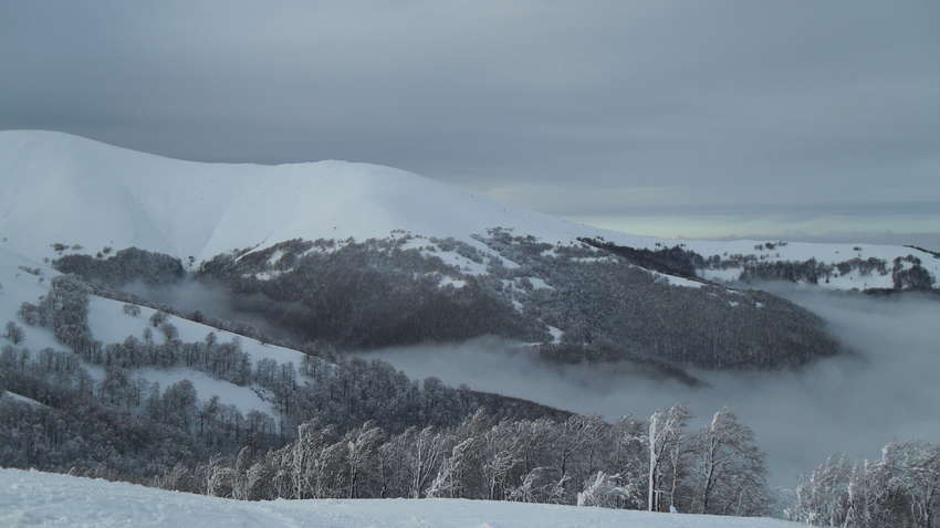 Карпаты засыпало снегом