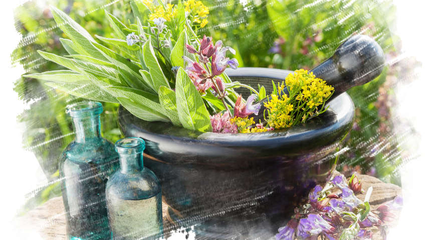 Які трави і вітаміни повинні бути в літній аптечці