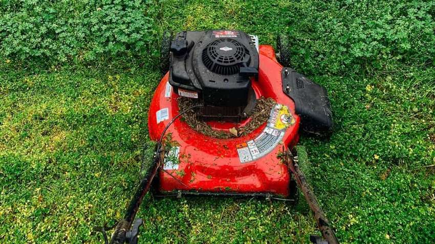 Робот поднял тревогу, когда его попытались украсть