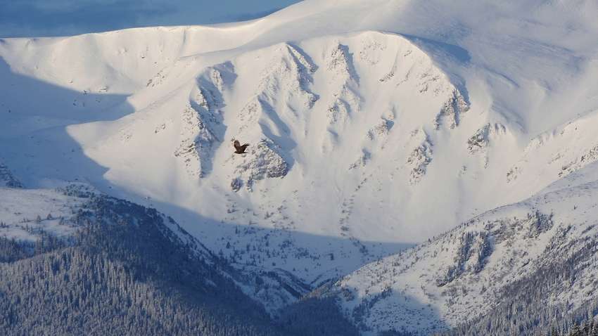Синоптики предупреждают об опасности в Карпатах