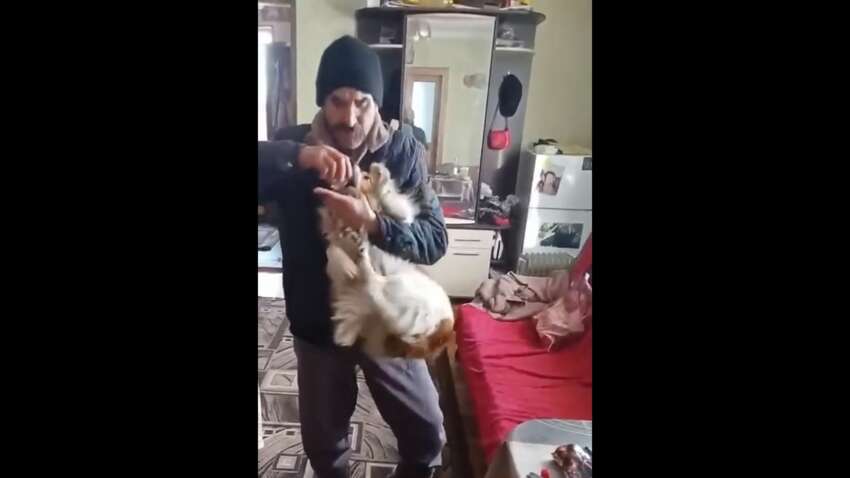 Скандал во Львовской области: в собак насильно заливали водку