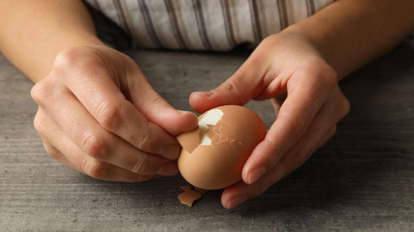 Чому від яєць погано відокремлюється шкарлупа: правило, яке врятує від цього Чому від яєць погано відокремлюється шкарлупа: правило, яке врятує від цього