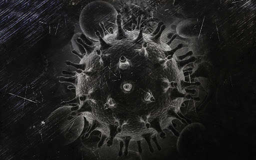 В Европе зафиксировали первый случай хантавируса